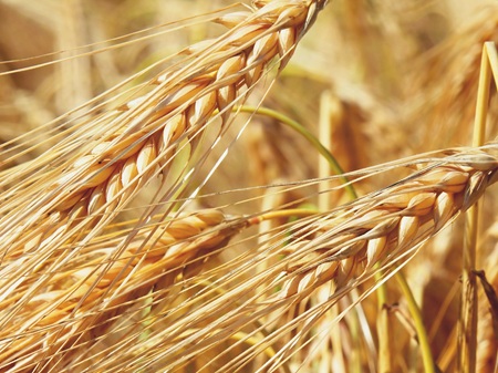 Il mercato delle Commodities: le 34 materie prime critiche